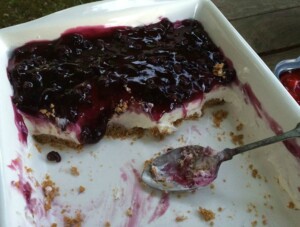 blueberry delight partly eaten 2b