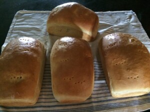 basic homemade bread
