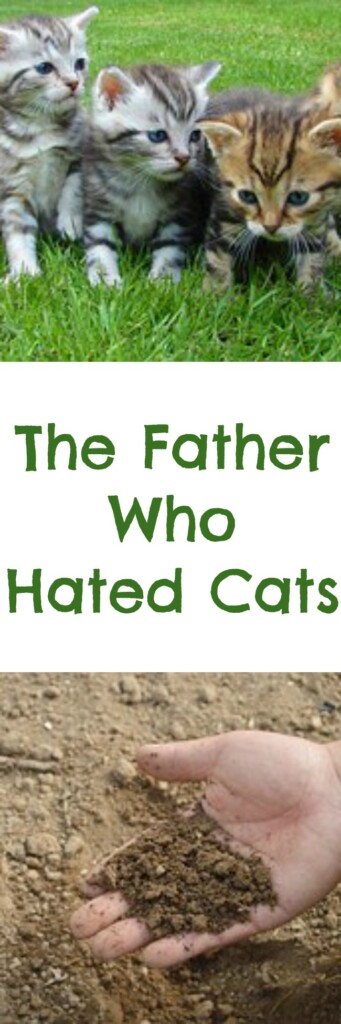 FATHER HATED CATS pinterest