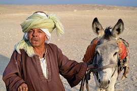 quarel man with donkey