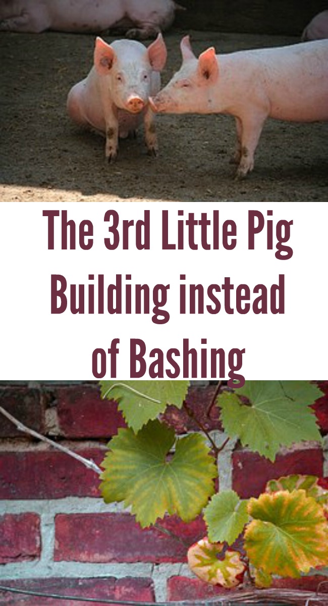 The 3rd Little Pig - Building Instead of Bashing - My Windowsill