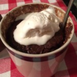 Best Brownie in a Mug