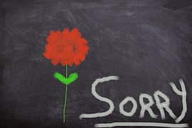 apology-sorry