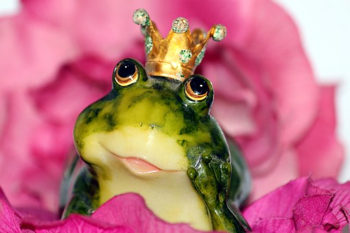 Fairy Tale marriages do not come from kissing a frog