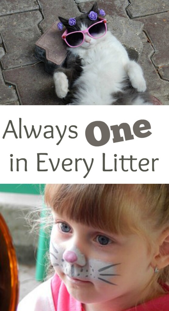 Pinterest always one in every litter