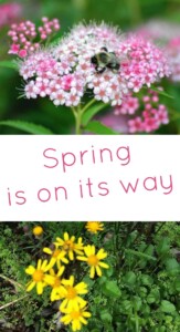 Pinterest Spring is on its way