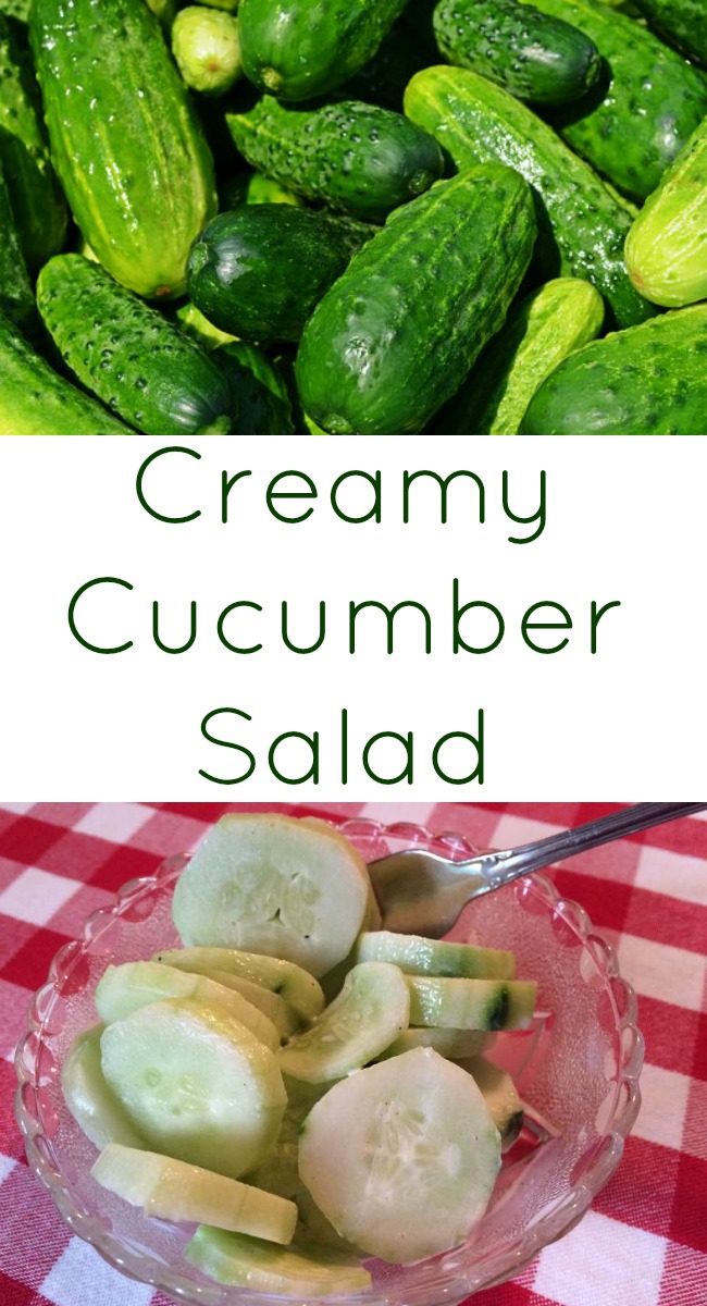 Creamy Cucumber Salad - My Windowsill