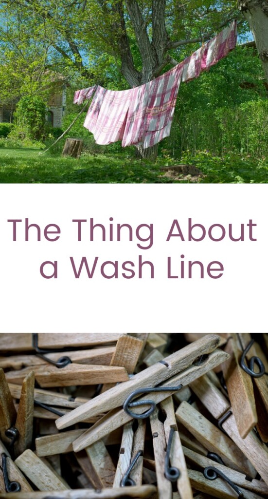 The Thing About a Wash Line My Windowsill