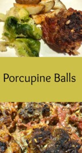 porcupine balls
