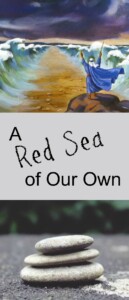 pinterest Red Sea