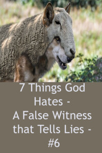 Pinterest 7 Things FALSE WITNESS
