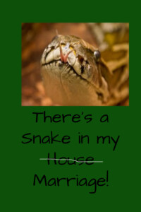 Pinterest Snake Marriage