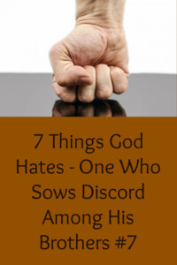 7 Things Discord
