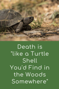 Pinterest Turtle Shell