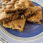 Miriam’s Chocolate Chip Squares