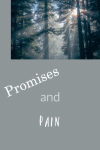 Pinterest Promises and Pain