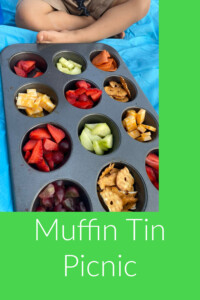 pinterest muffin tin picnic