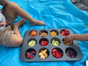 muffin tin picnic