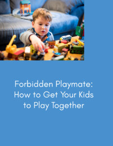 Forbidden Playmate
