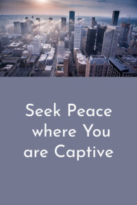 Pinterest Seek Peace