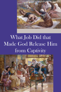 release from captivity