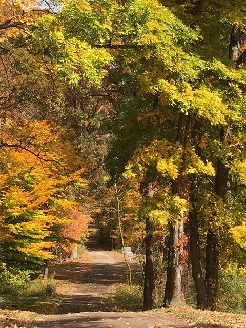 everybody needs a lane