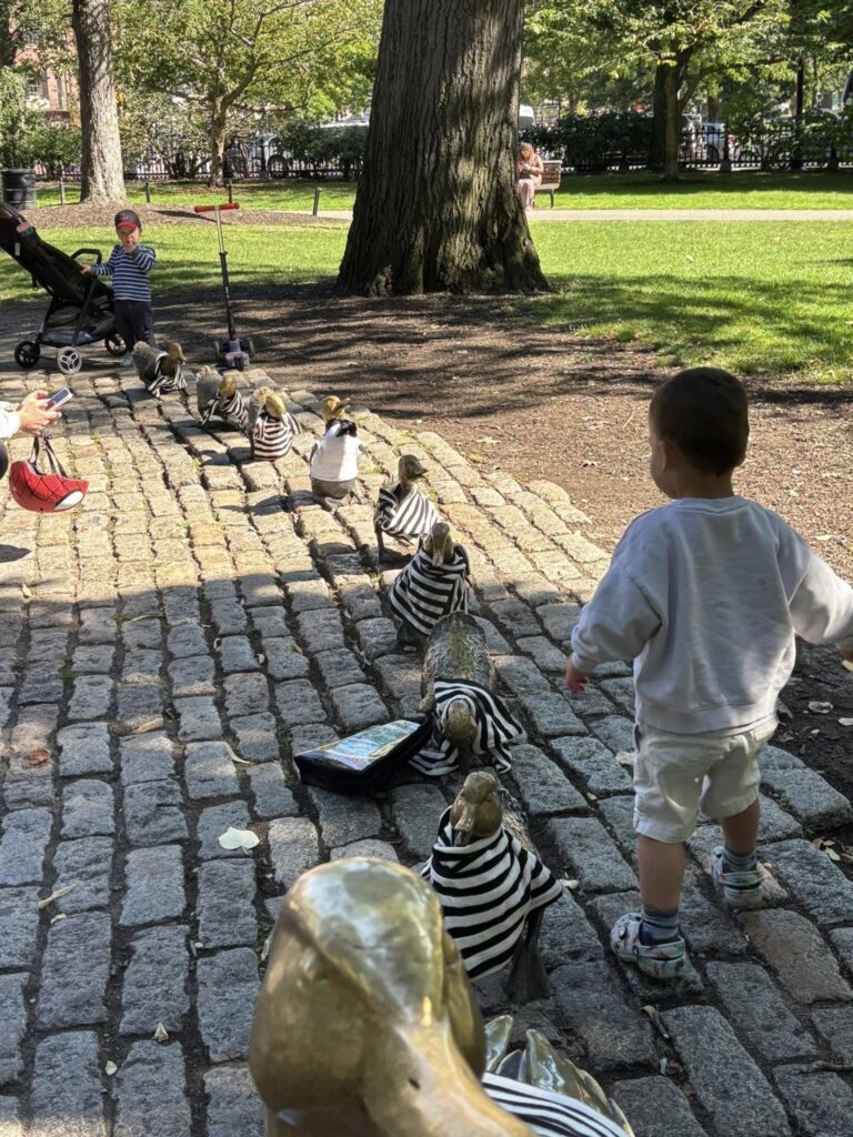 Make way for ducklings